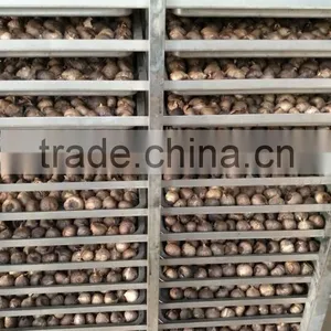 High Temperature Humidity Black Garlic Climatic Chamber Price thumbnail-5