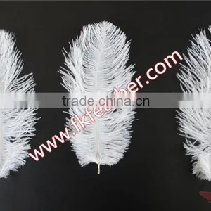 Wholesale Cheap DIY Multicolor Craft Small White Ostrich Feather 15cm to 20cm For Wedding Decorations thumbnail-5