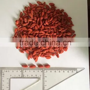 DRIED WOLFBERRY thumbnail-1