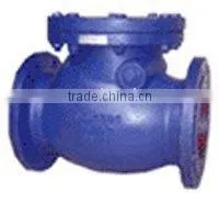 Swing Check Valve thumbnail-1