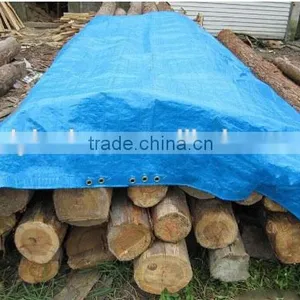Tarpaulin in Roll, Cheap Price Good Quality Rolling Tarp Fabric, Wholesale Tarpaulin thumbnail-4