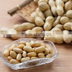 Peanut Kernel thumbnail-1