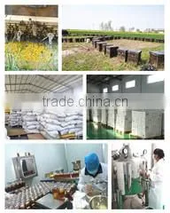 Changge Ruifengfang Bee Products Co., Ltd. company overview - view 2 thumbnail