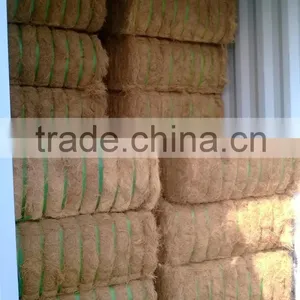 Coconut Fiber 2016 (qq : 2598494113) thumbnail-3