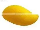 African Mango Extract 10:1 thumbnail-1