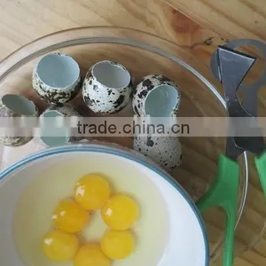 Reasonable Price Stainless Stell Quail Egg Scissors thumbnail-3