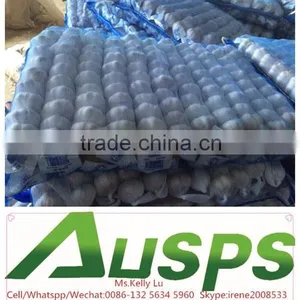 2015 New Crop Chinese Fresh Garlic 4.5-6.0cm thumbnail-6