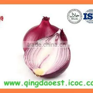 Bulk Chinese Best Quality Fresh Red Onion thumbnail-4