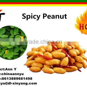 Spicy Hot Fried Peanut thumbnail-4
