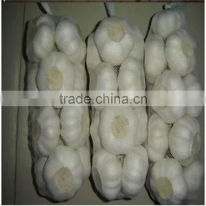 Wholesale Fresh White Garlic for Export thumbnail-6