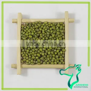 Green Mung Bean/Green Gram/Mung Beans Sprouting thumbnail-1