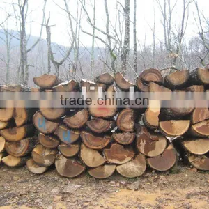 FIREWOOD 1 METER and 1 Meter LOGS thumbnail-1