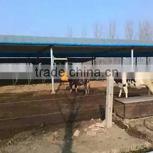 Cattle Brush Equipment for Cattle thumbnail-1