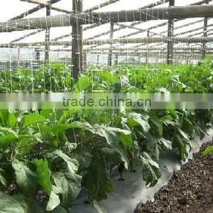 Climbing Plant Support Trellis Netting thumbnail-5