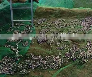 Olive Net/Olive Harvest Net/Olive Collecting Net thumbnail-2