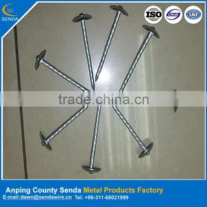 Corrugated Roofing Nails/ Zinc Coated Umbrella Head Iron Nails thumbnail-1