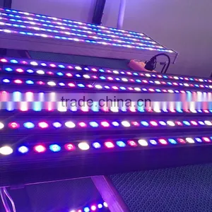 High Par 3.3ft IP65 36W LED Grow Bar Light for Hydroponic Grow Systems thumbnail-2