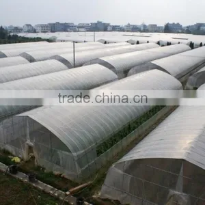 Tunnel Greenhouse thumbnail-4