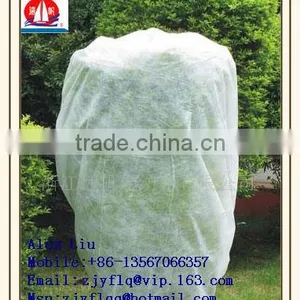 100% PP Spunbonded Non Woven Fabric Used for Agriculture Plant Cover or to Prevent the Weed and so on thumbnail-4