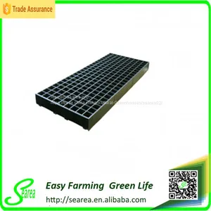 Plug Trays (Growing and Seedling) thumbnail-5
