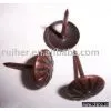 Nail, Sofa Nail, Furniture Nail thumbnail-1