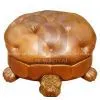 Jin-Taek Rich Tortoise thumbnail-1