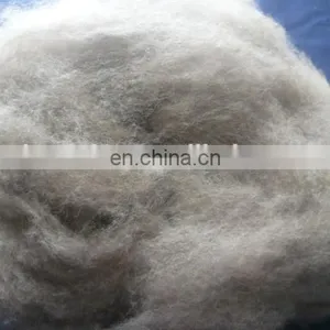 Carded and Dehaired Raccoon Hair for Spinning thumbnail-5