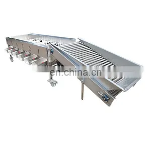 Commercial Apple Fruit Grader Apple Sorting Machine thumbnail-2
