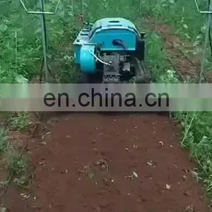 New Product Power Tiller Garden Cultivators Agricultural Rotary Tiller for Sale thumbnail-1