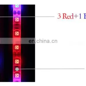 DC12V LED Plant Grow Light Full Spectrum LED Strip Light SMD 5050 Chip For Greenhouse Hydroponic Plant thumbnail-7