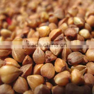 Organic Roasted Buckwheat Kernel thumbnail-1