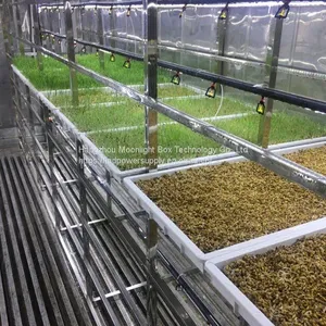 40HQ Hydroponic Fodder System Container Farmhydroponic Growing Systems Shipping Container Hydroponic System thumbnail-3