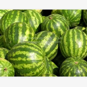 Round Rose Round Shape Red and Crisp Flesh Watermelon Seeds thumbnail-1