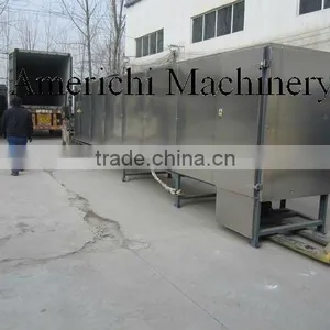 Extrusion Fish Food Machines to Nigeria thumbnail-1