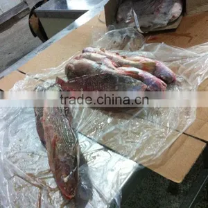 Frozen Yellow Croaker thumbnail-5