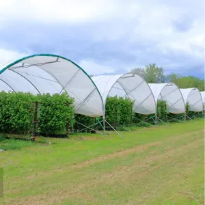 Hdpe Insect Nets for Agriculture Farm Fruit Fly thumbnail-2