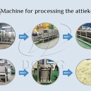 1-2TPH Cassava Garri Making Line Cassava Peeler Cassava Grater Cassava Processing Plant for Attieke and Garri Production thumbnail-4