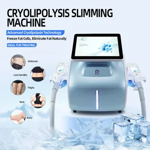 Wholesale Cryolipolysis Machine With 1-Year Warranty and Free Operation Manual Training for Professional Salon Spa Applications thumbnail-1