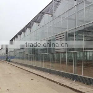 Large Glass Commercial Hot House thumbnail-2