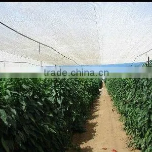 PE / HDPE Anti-mosquito Anti-Bee Anti-Insect Anti-malaria Neting /anti Insect Bird Net thumbnail-1