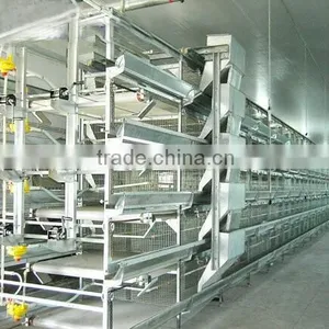 H Type Automatic Layer Poultry Cages for Nigeria thumbnail-3