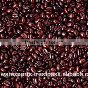 India Produce Highy Demanded Arabica Coffee Bean thumbnail-6