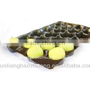 Fruit Punnet thumbnail-1