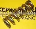 Titanium Spring thumbnail-1