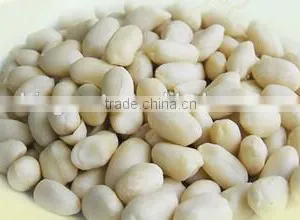 Chinese Blanched Peanut Kernels in Round Shape for Sale thumbnail-2