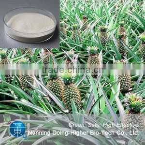 High Quality Bromelain Wholesale Organic Pineapple Extract Bromelain Powder thumbnail-4