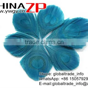 Leading Supplier CHINAZP Wholesale Wonderful Good Dyed Turquoise Trimmed Peacock Feathers Eyes for Earrings thumbnail-2
