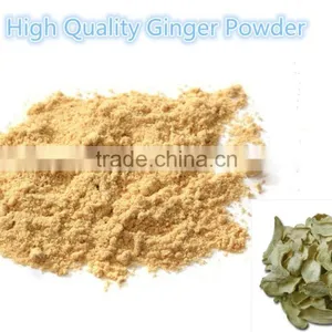 High Quality Ginger Extracg Powder Low Price Ginger Powder (water Soluble) thumbnail-1