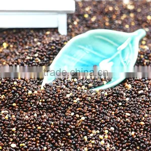 2016 Crop White Red Black Yellow Glutinous Broomcorn Millet Sticky Millet for Bird Feeds thumbnail-2