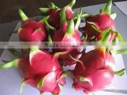 Vietnam Dragon Fruit With High Quality and Best Price thumbnail-1